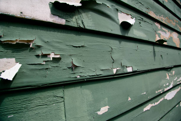 Best Stucco Siding  in New Egypt, NJ