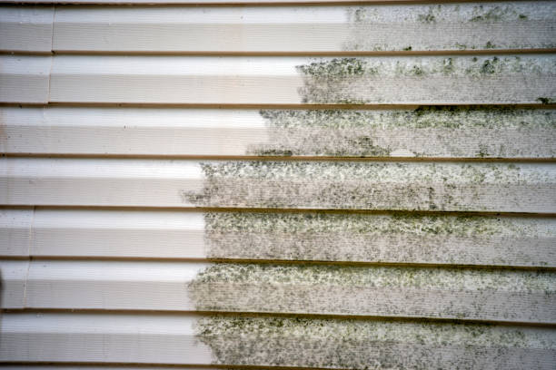 Historical Building Siding Restoration in New Egypt, NJ