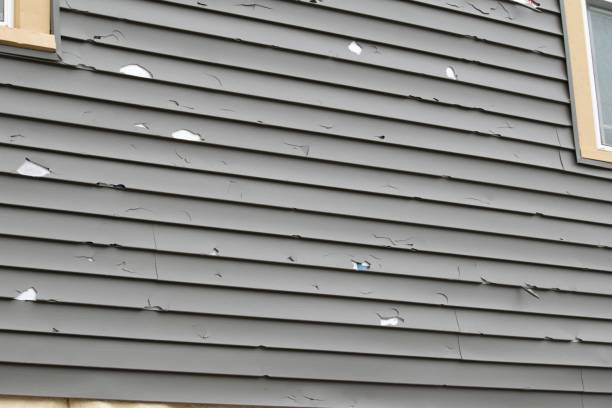 Best Custom Trim and Detailing for Siding  in New Egypt, NJ
