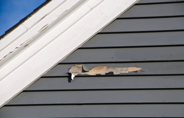 Best Weatherproofing and Sealing  in New Egypt, NJ