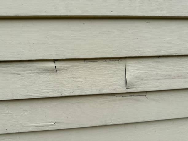 Best Siding for New Construction  in New Egypt, NJ